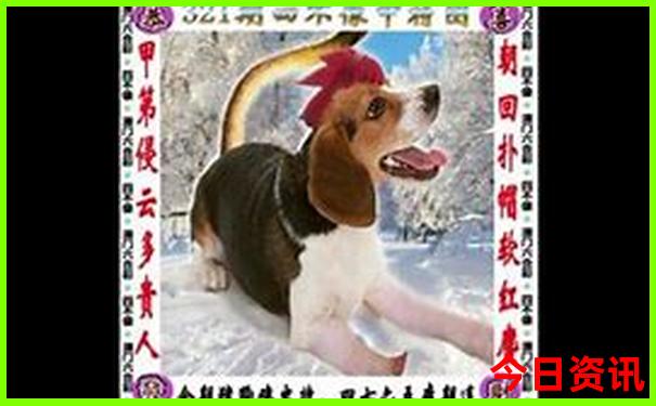秦皇岛北戴河必去景点