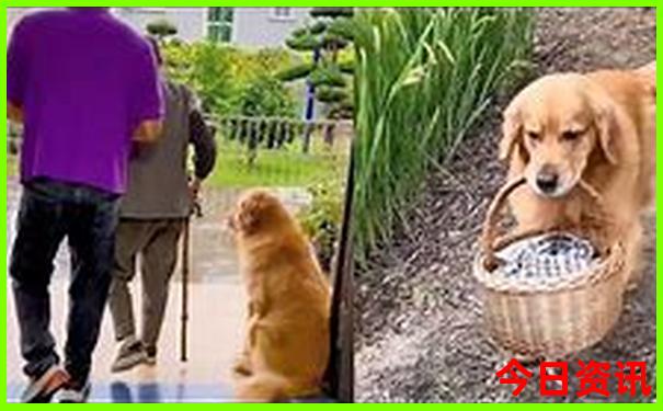 霍尔果斯周边旅游景点
