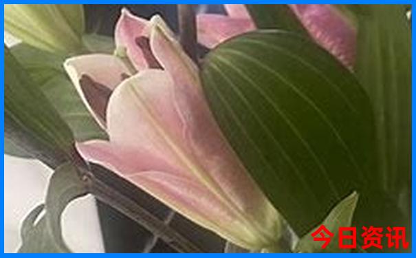 潮汕4日游最佳路线